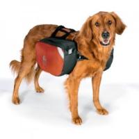 Dog supplies and equipment.  Leashes, collars, coats, bowls, dishes, backpacks from Granite Gear and Silverfoot